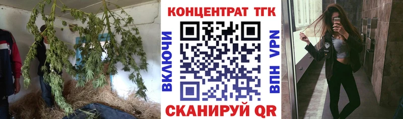 OMG рабочий сайт  сколько стоит  Эртиль  Дистиллят ТГК гашишное масло 