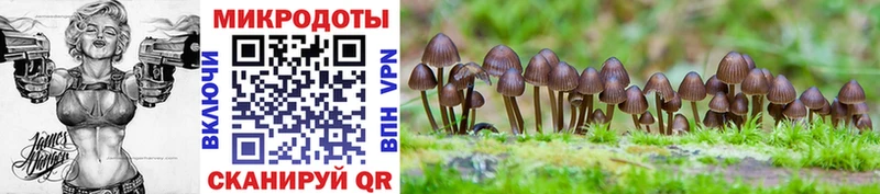 ОМГ ОМГ сайт  купить   Эртиль  Галлюциногенные грибы Magic Shrooms 